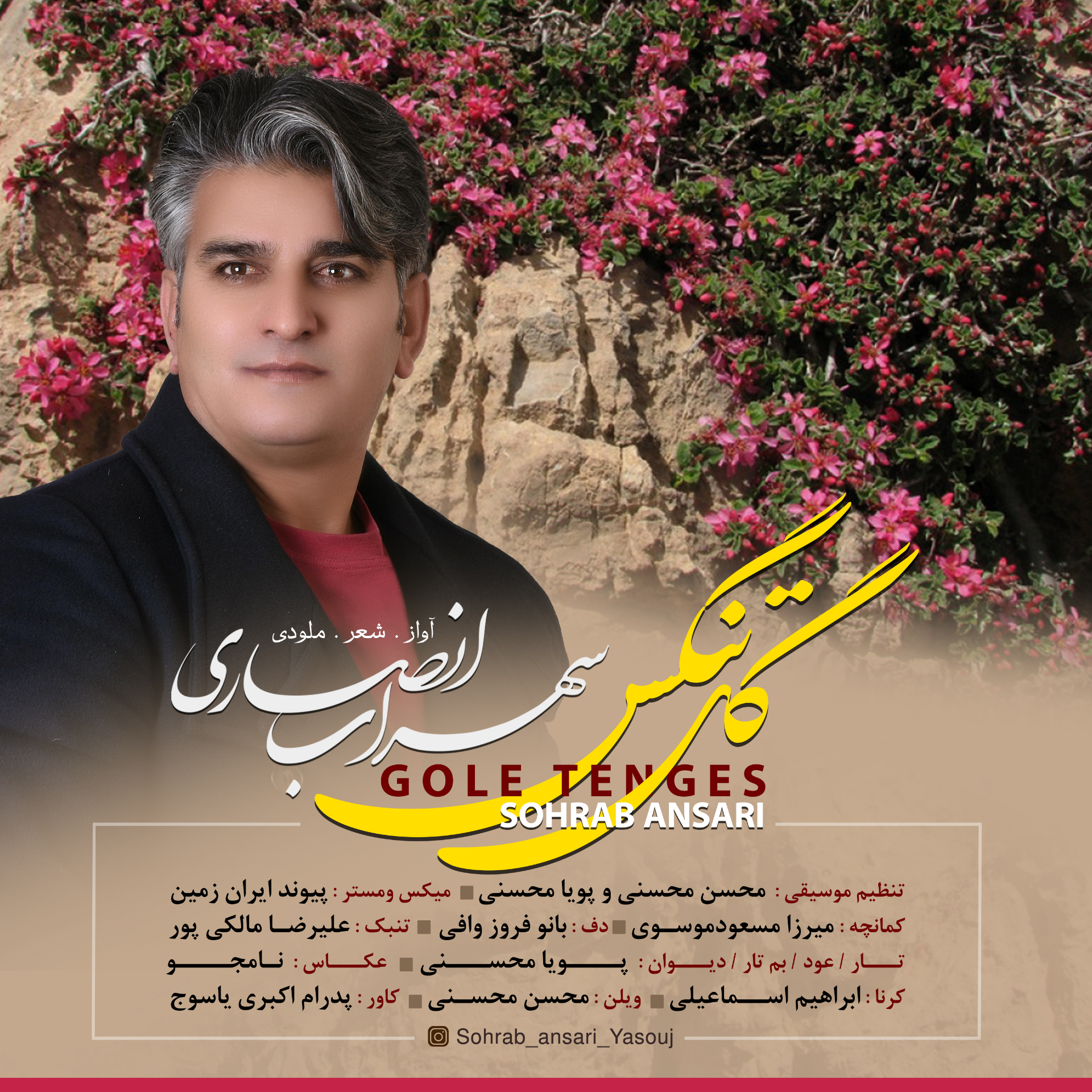 سهراب انصاری گل تنگس